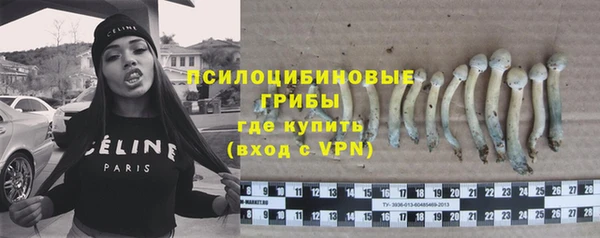 прущая мука Аркадак