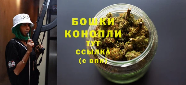 spice Снежногорск