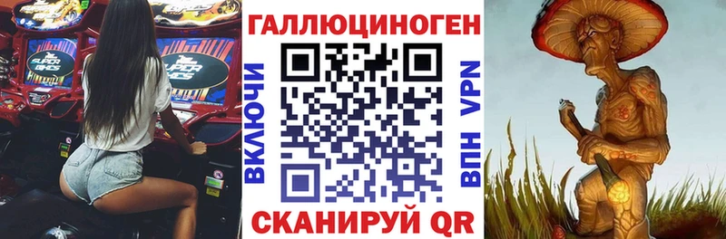 Купить  Асбест  Псилоцибиновые грибы мицелий 